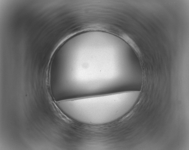 X0000071761052200606300911
