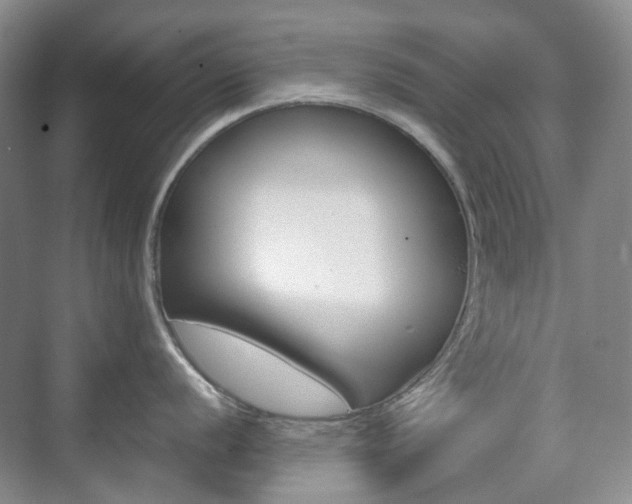 X0000071761056200606300911