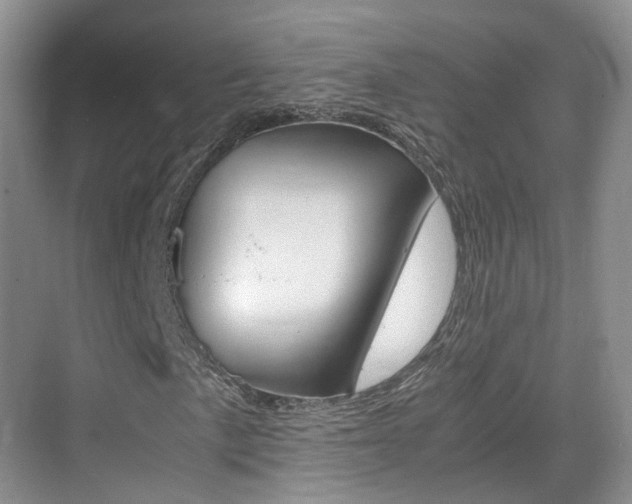 X0000071761057200606300910