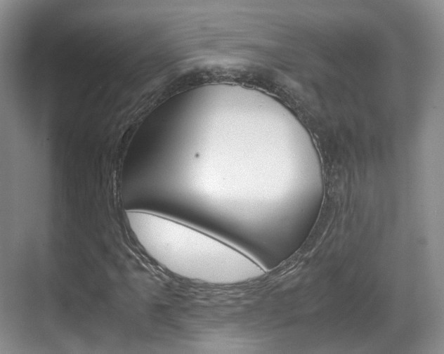 X0000071761061200606300910