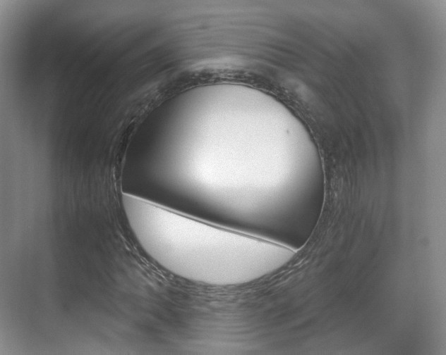 X0000071761062200606300910