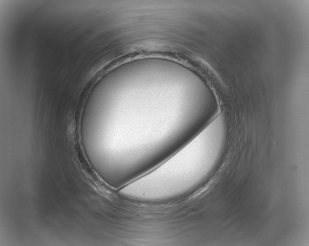 X0000071761065200606300910