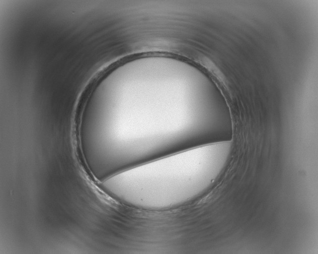 X0000071761072200606300910