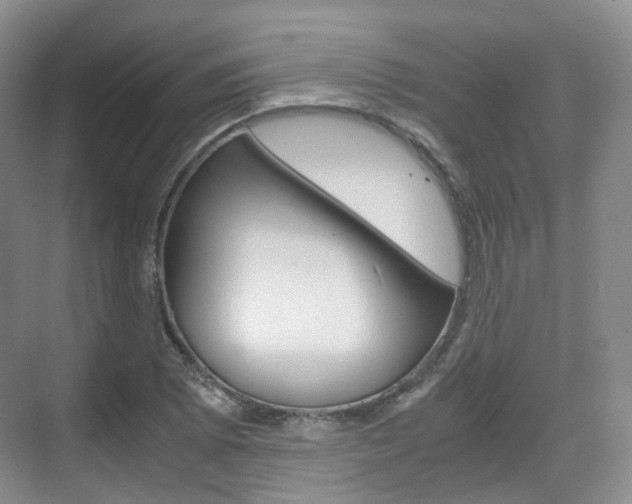 X0000071761073200606300910