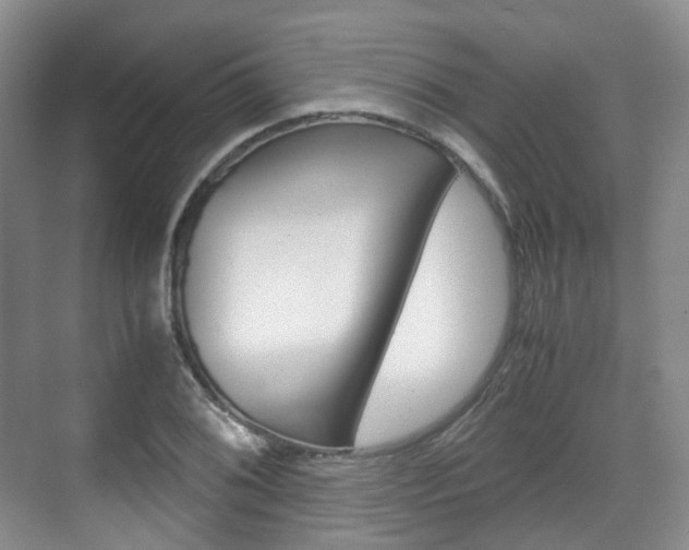 X0000071761076200606300910