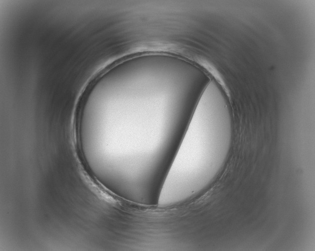 X0000071761080200606300910