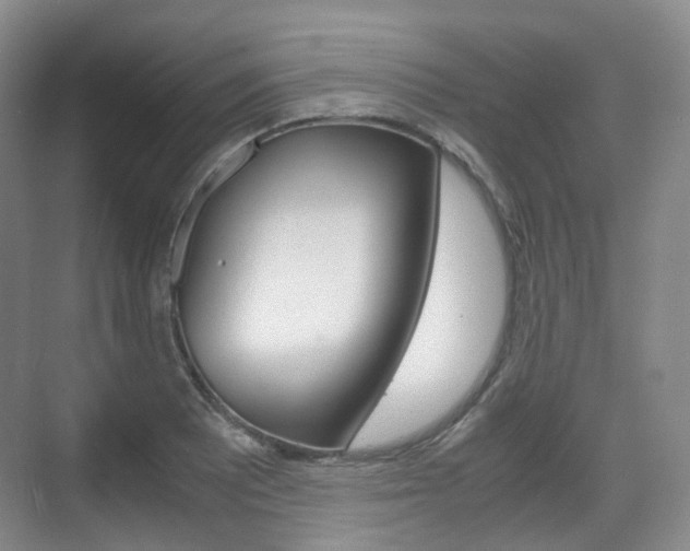X0000071761081200606300910