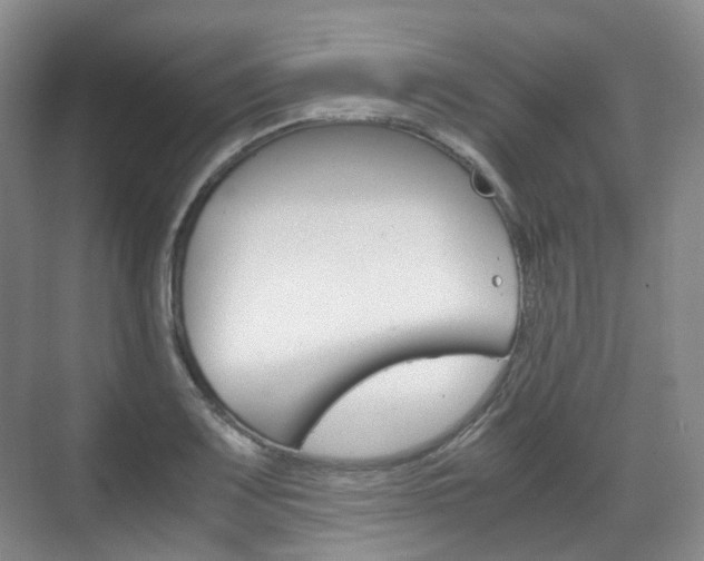 X0000071761083200606300910