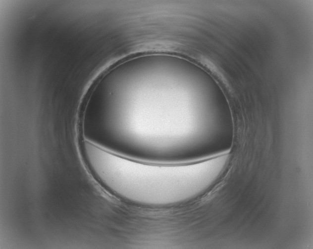 X0000071761085200606300910