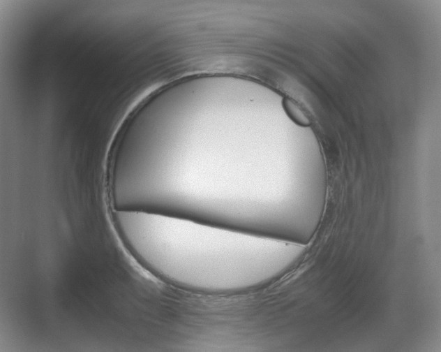 X0000071761087200606300910