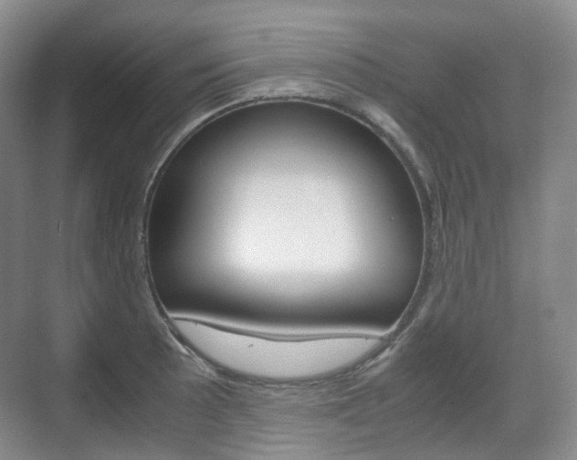 X0000071761089200606300910