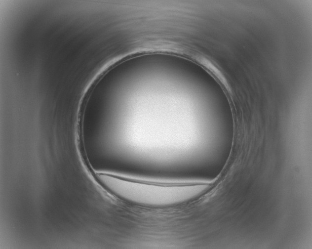 X0000071761093200606300909