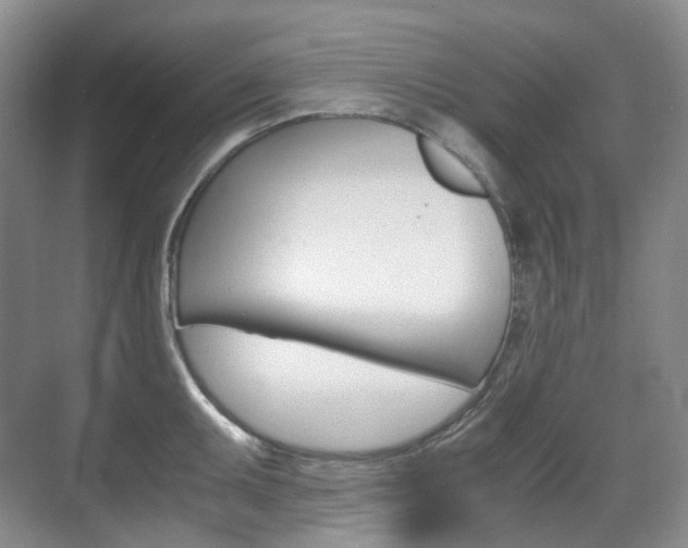 X0000071761095200606300909