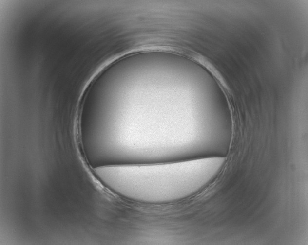 X0000071761101200606300909