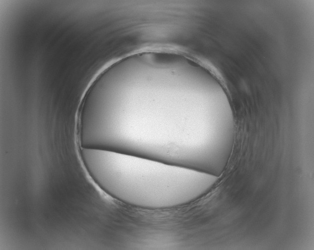 X0000071761103200606300909