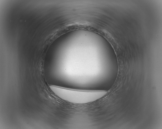 X0000071761110200606300909