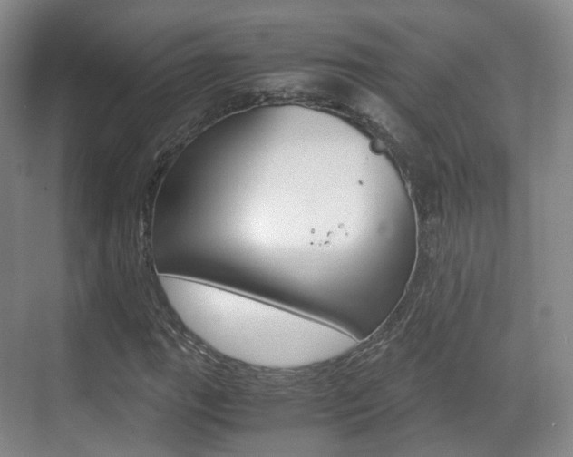 X0000071761111200606300909