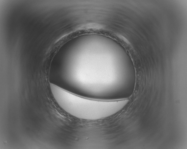 X0000071761112200606300909