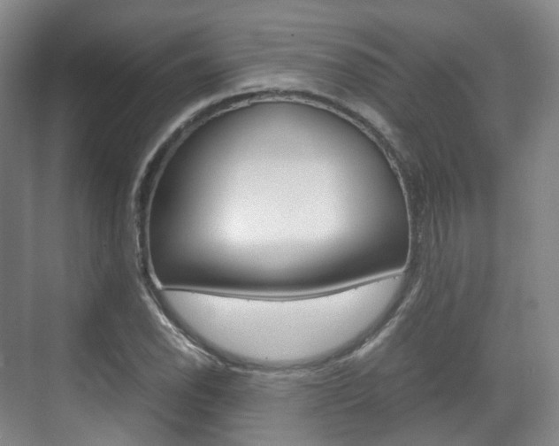 X0000071761118200606300909