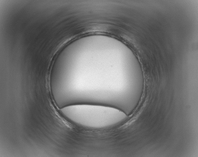 X0000071761121200606300909