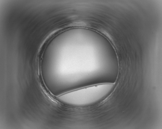 X0000071761123200606300909