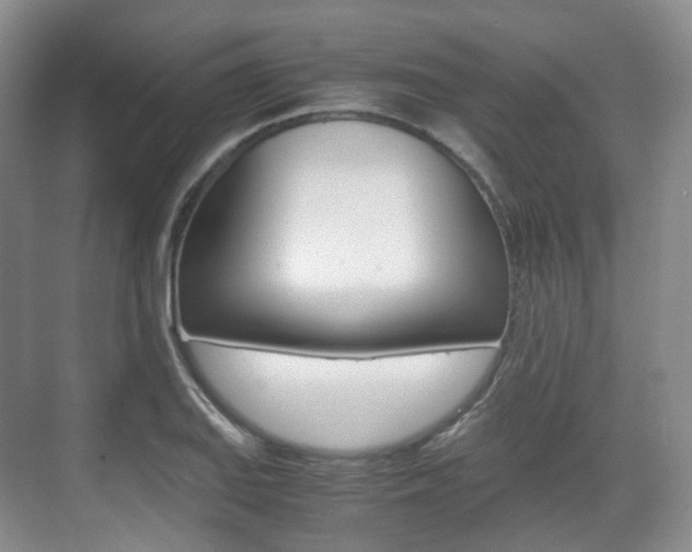 X0000071761127200606300909