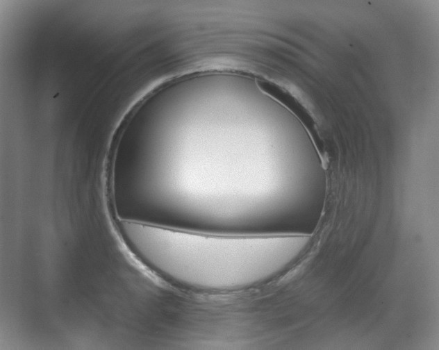 X0000071761134200606300909