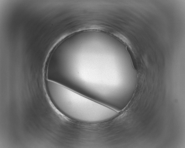X0000071761135200606300909