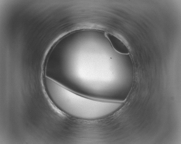 X0000071761136200606300909