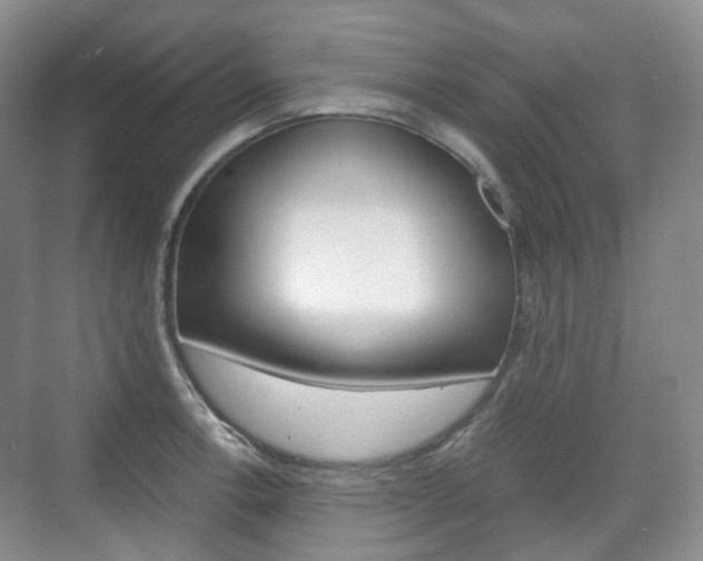 X0000071761138200606300909