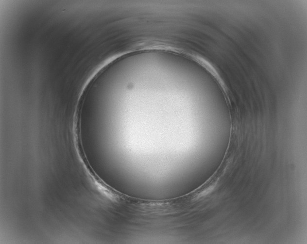 X0000071761149200606300909