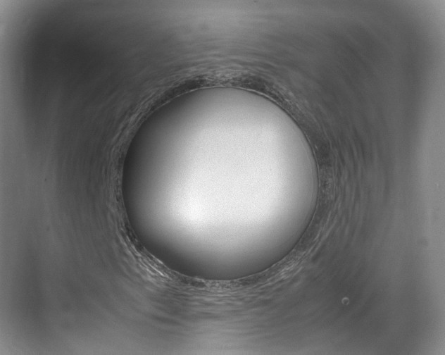 X0000071761153200606300908