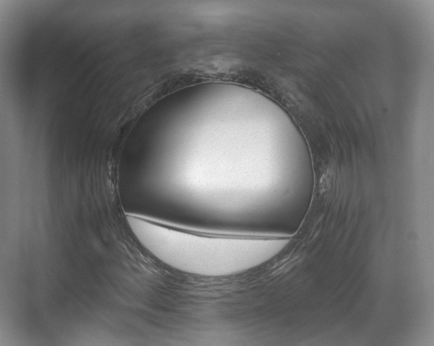 X0000071761156200606300908