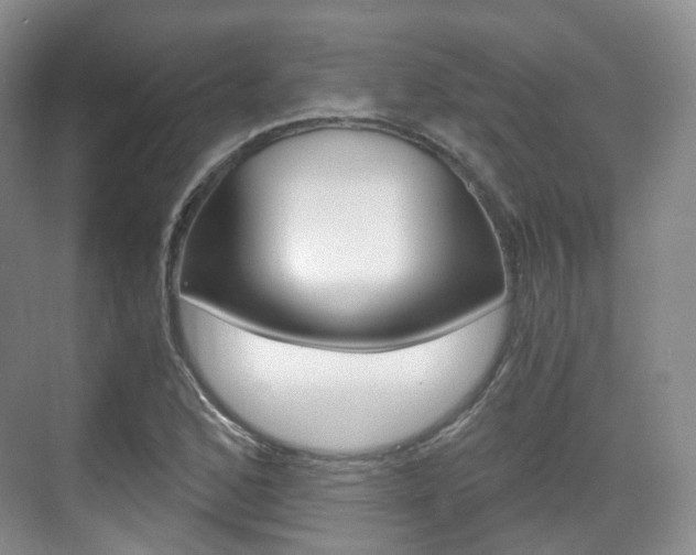 X0000071761168200606300908