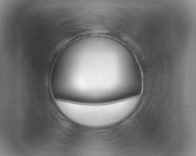X0000071761169200606300908