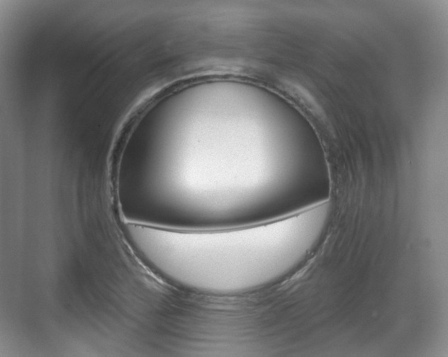 X0000071761172200606300908