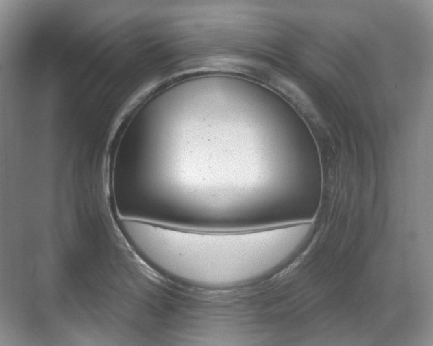 X0000071761180200606300908