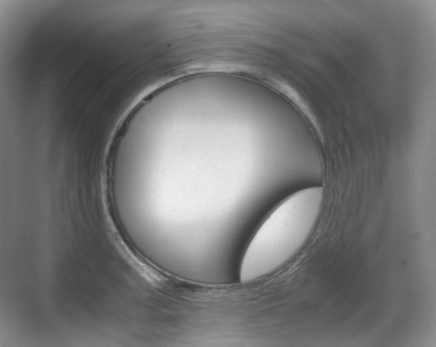 X0000071761187200606300908