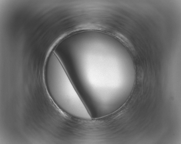 X0000071761188200606300908