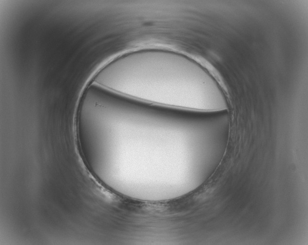 X0000071761191200606300908