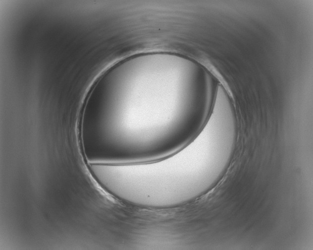 X0000071761197200606300908