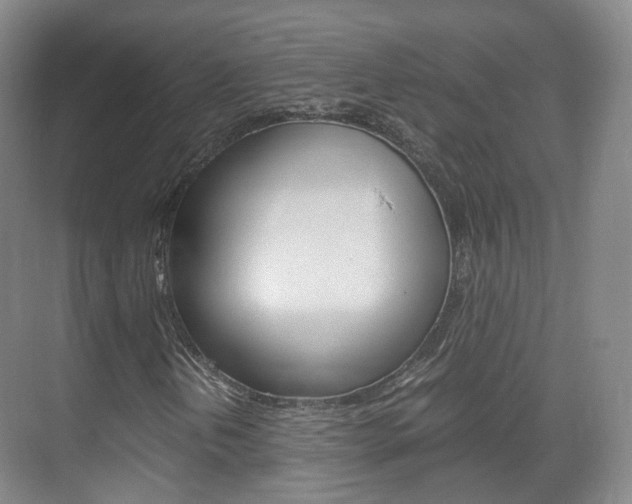 X0000071761202200606300907