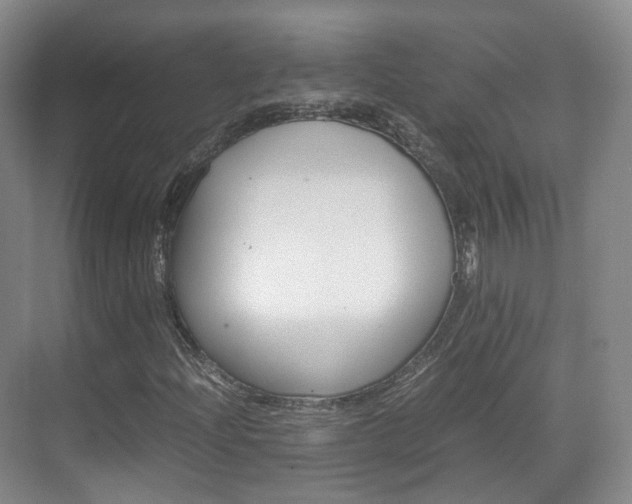 X0000071761204200606300907