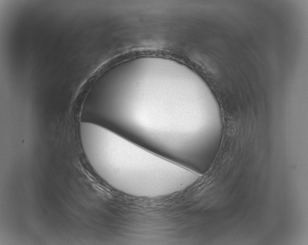 X0000071761208200606300907