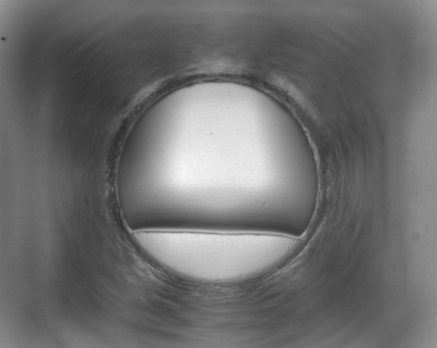 X0000071761213200606300907