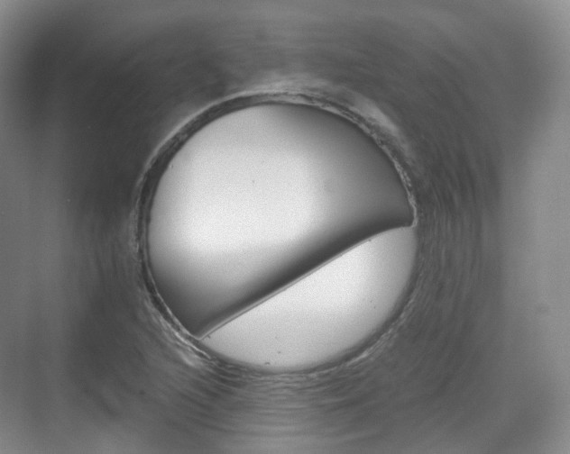 X0000071761216200606300907