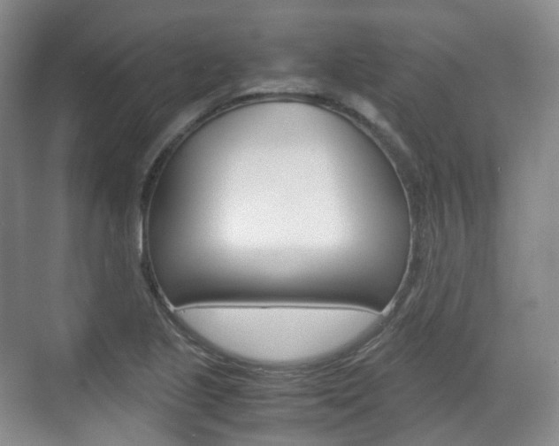 X0000071761221200606300907