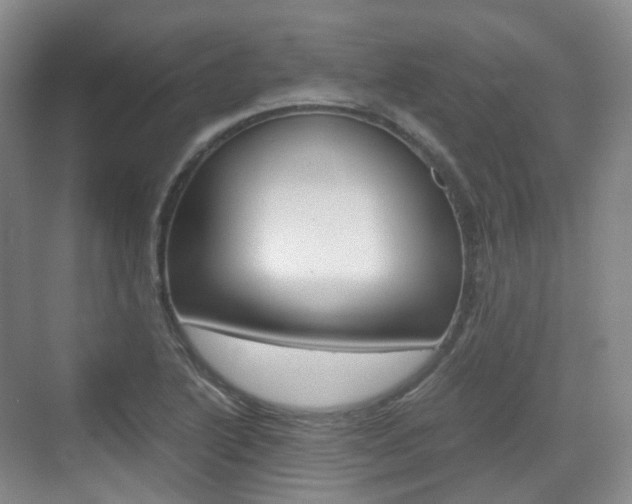X0000071761222200606300907
