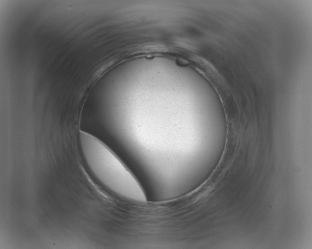 X0000071761225200606300907