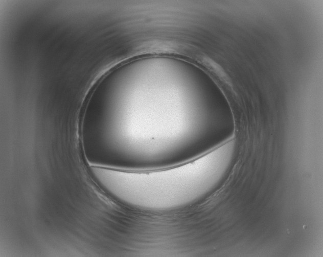 X0000071761226200606300907